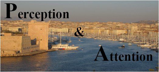 Perception and attention