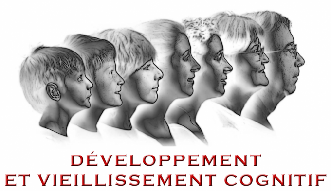 Studying Development and Cognitive Aging